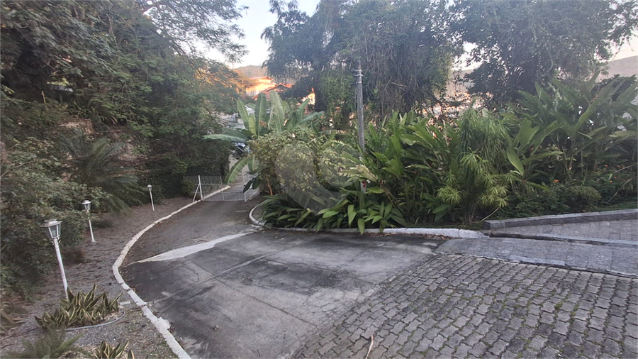 Foto REO1131107
