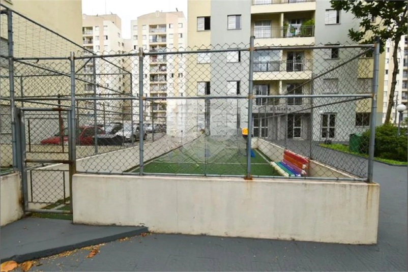 Foto REO1131108