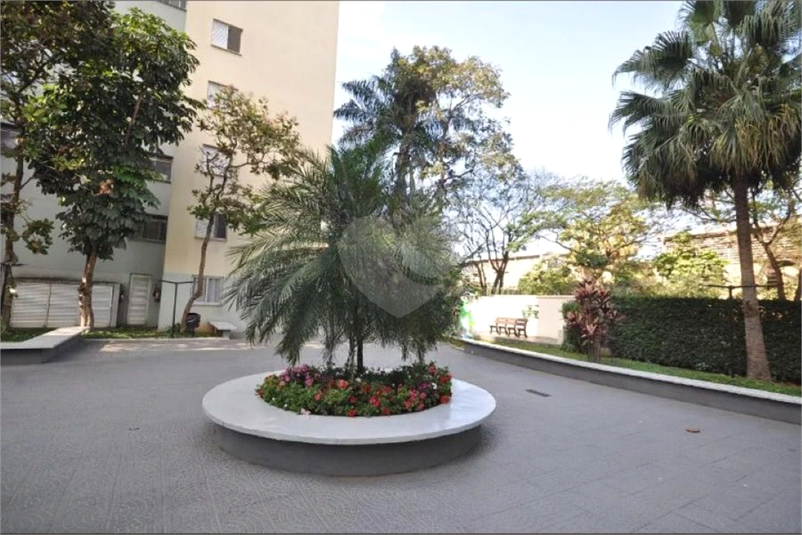 Foto REO1131108