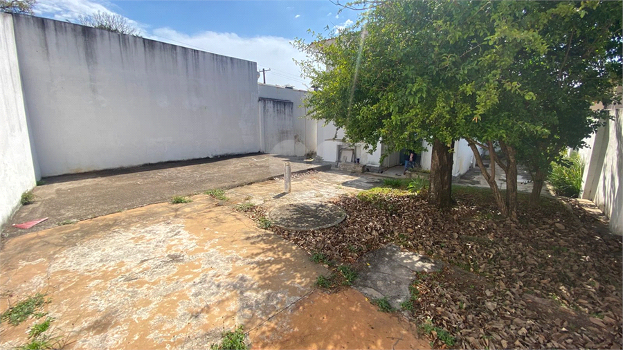 Foto REO1131118