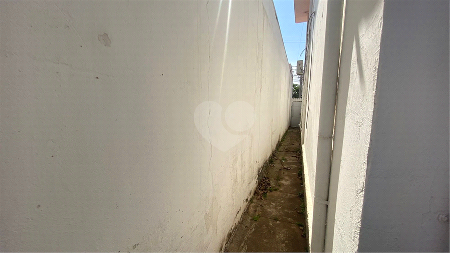 Foto REO1131118