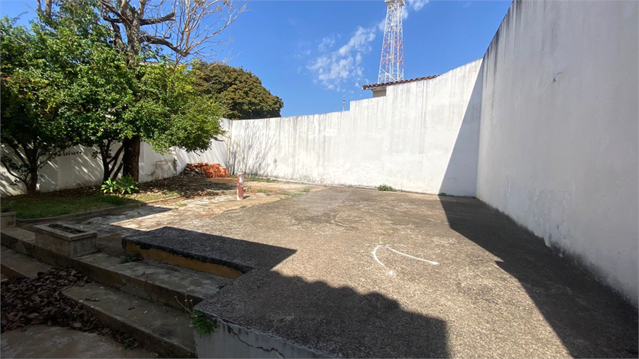 Foto REO1131118