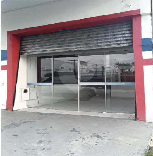 Foto REO1131145