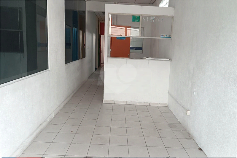 Foto REO1131145