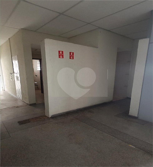 Foto REO1131145