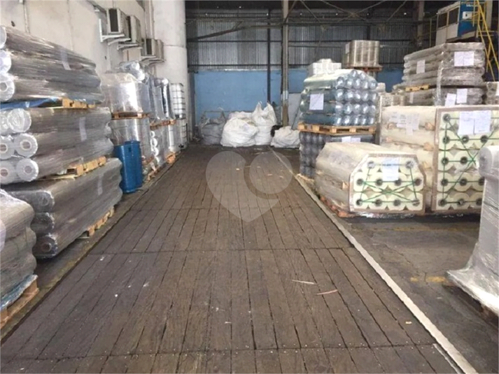 Foto REO1131155