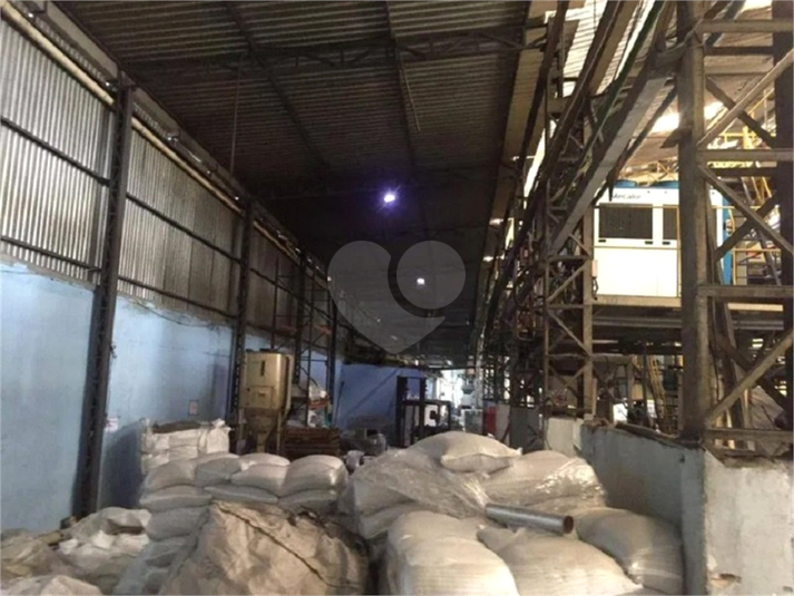 Foto REO1131155