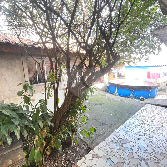 Foto REO1131156