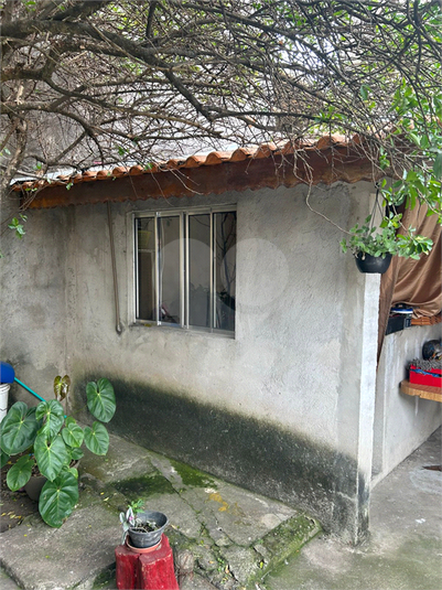 Foto REO1131156