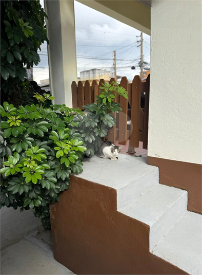 Foto REO1131165