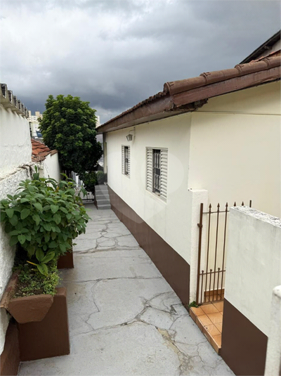 Foto REO1131165