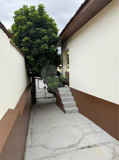 Foto REO1131165