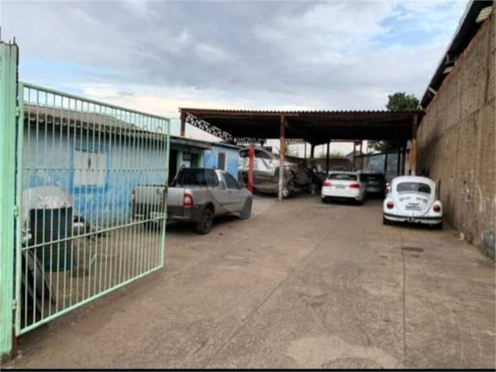 Foto REO1131178