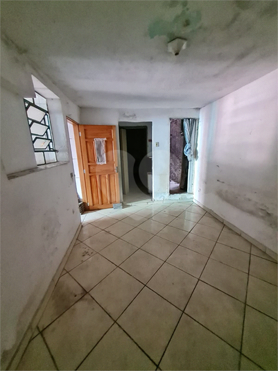 Foto REO1131186