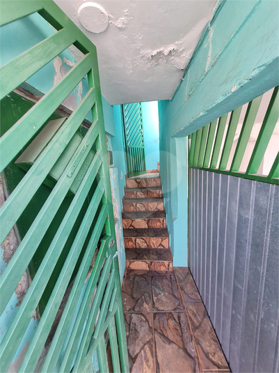 Foto REO1131186