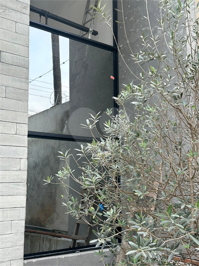 Foto REO1131187