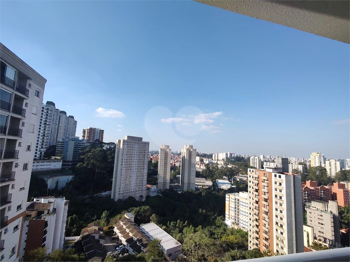 Foto REO1131198