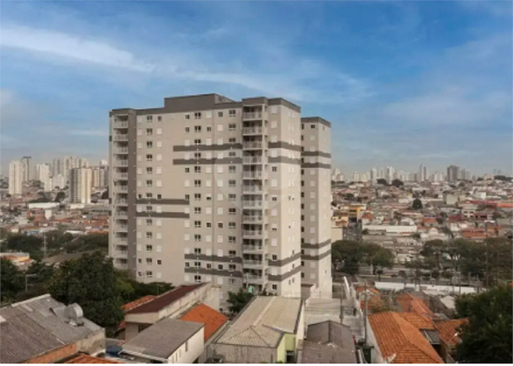 Foto REO1131199