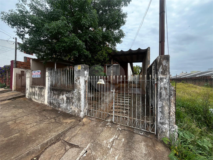 Foto REO1131221