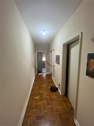 Foto REO1131239