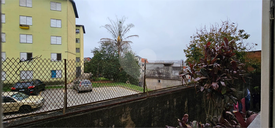 Foto REO1131246