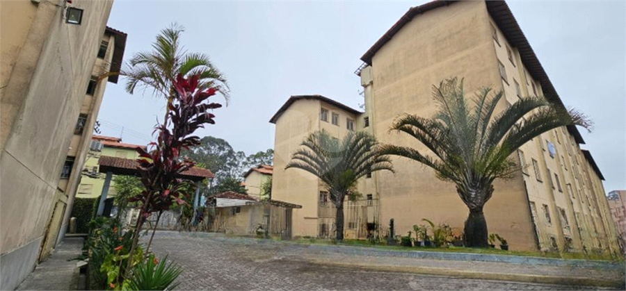 Foto REO1131246