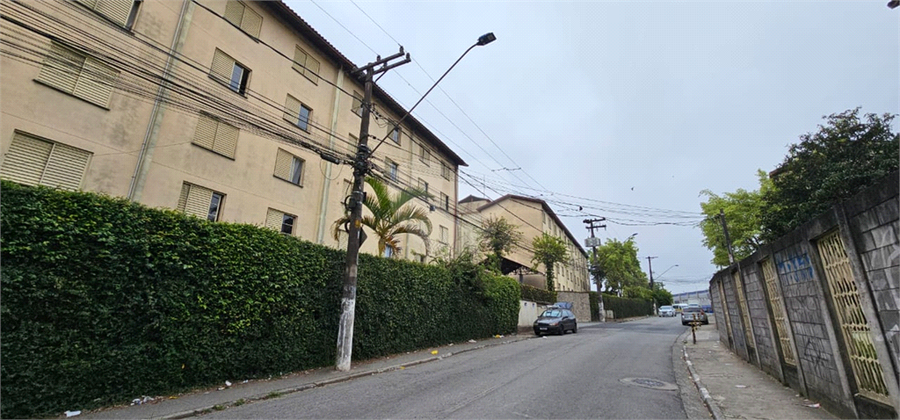 Foto REO1131246
