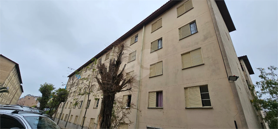 Foto REO1131246