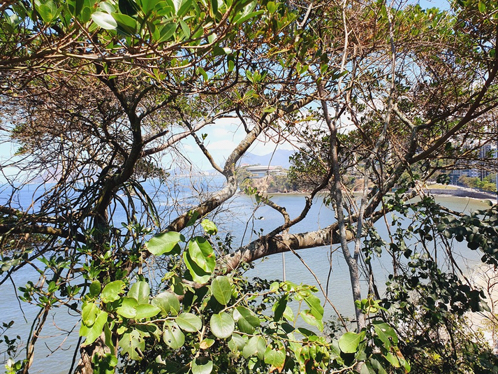 Foto REO1131250