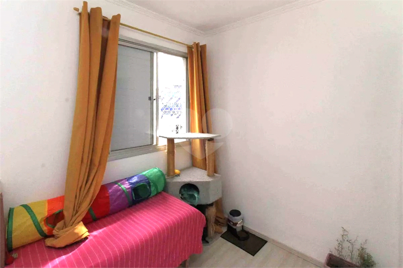 Foto REO1131257