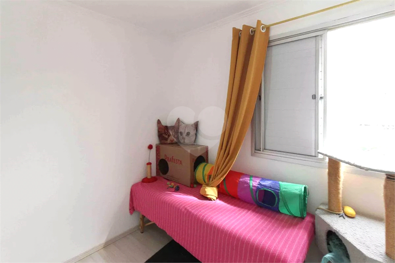 Foto REO1131257