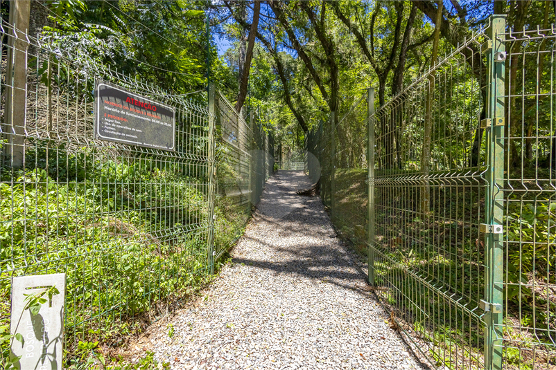 Foto REO1131259