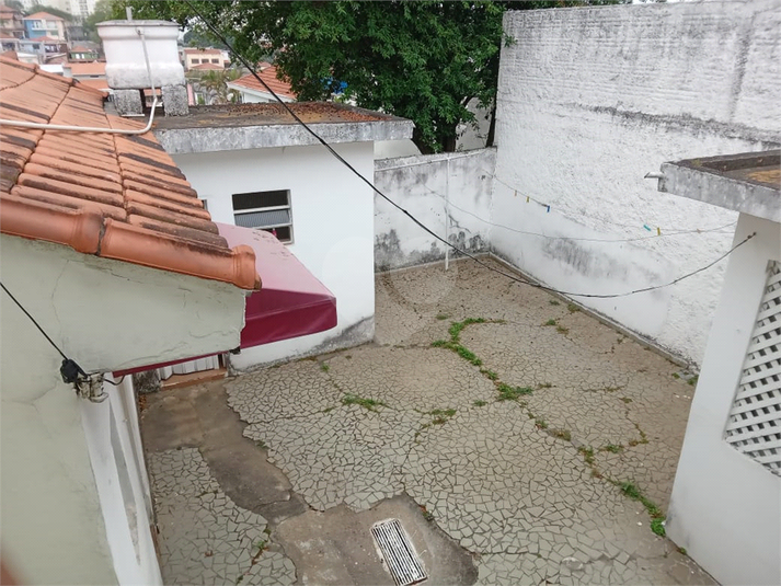 Foto REO1131279
