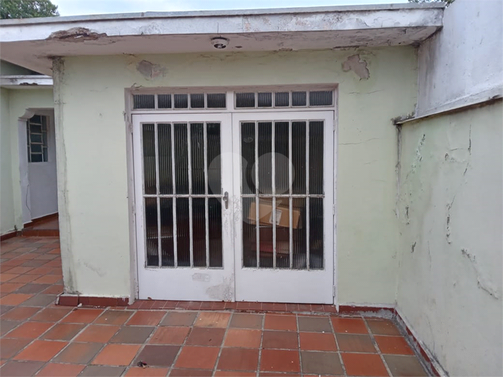 Foto REO1131279