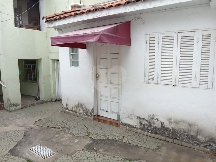 Foto REO1131279