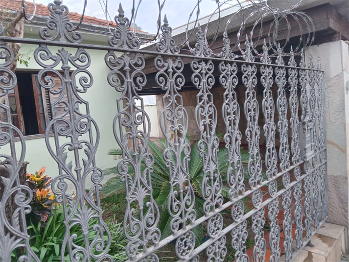 Foto REO1131279