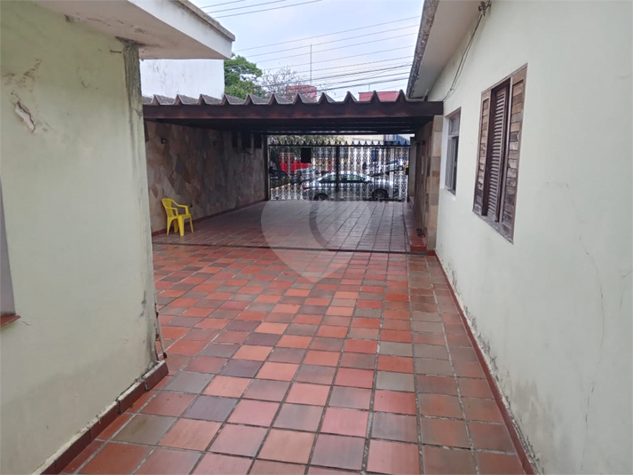 Foto REO1131279