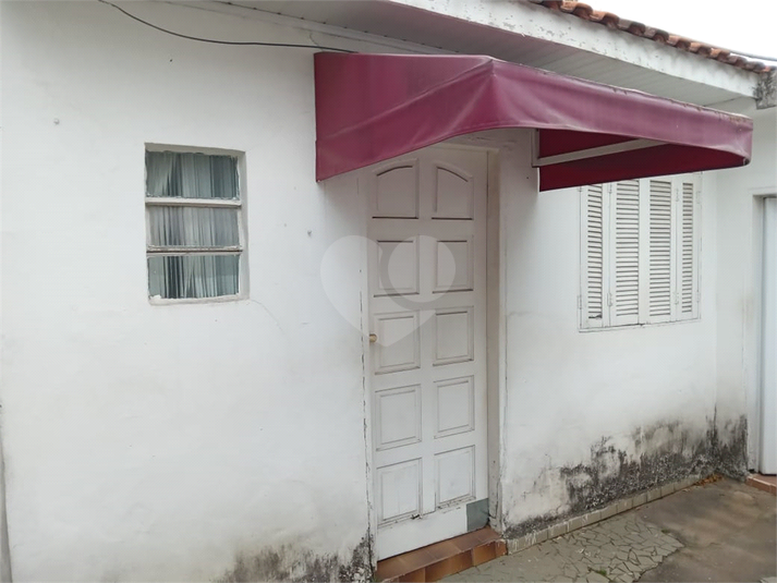 Foto REO1131279