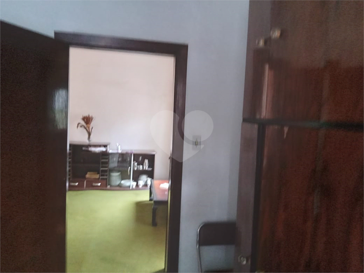 Foto REO1131279