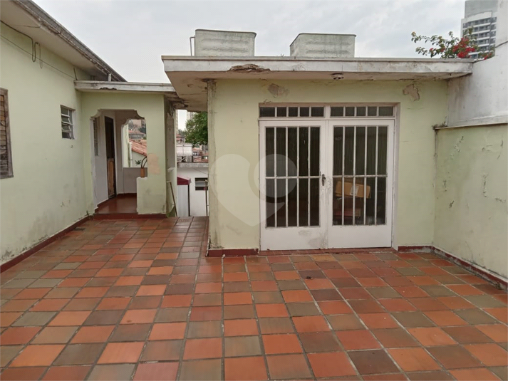 Foto REO1131279