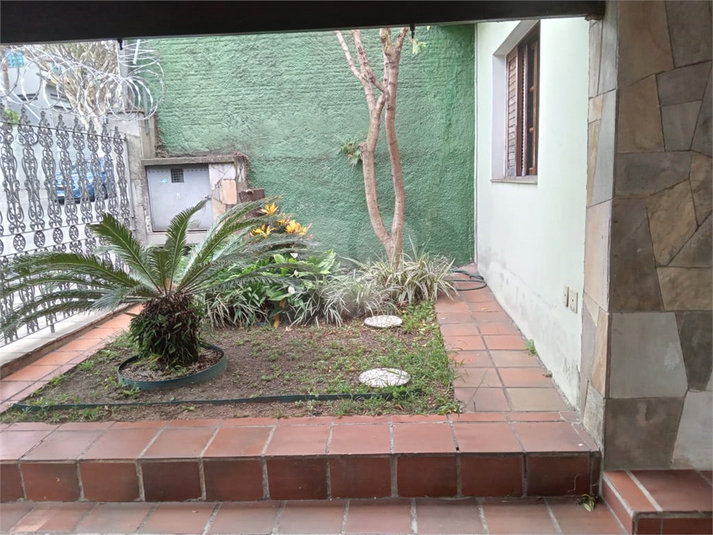 Foto REO1131279