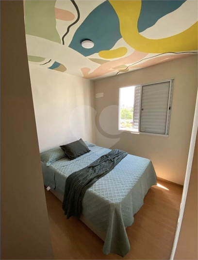 Foto REO1131292