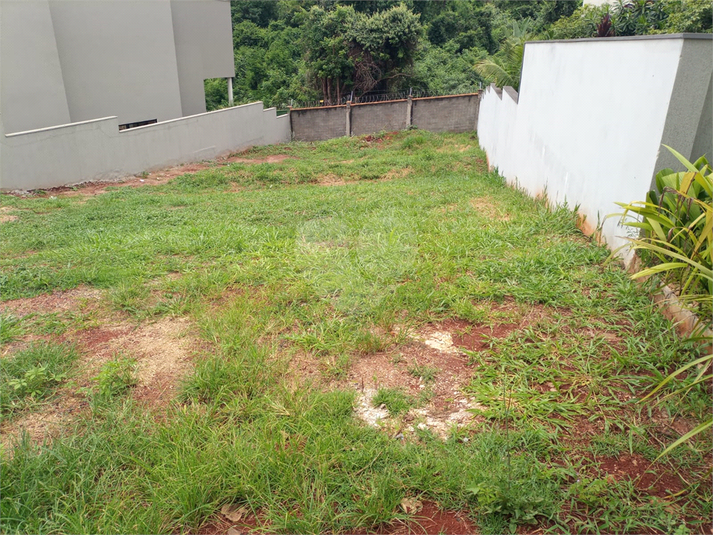 Foto REO1131298