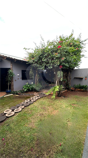 Foto REO1131300