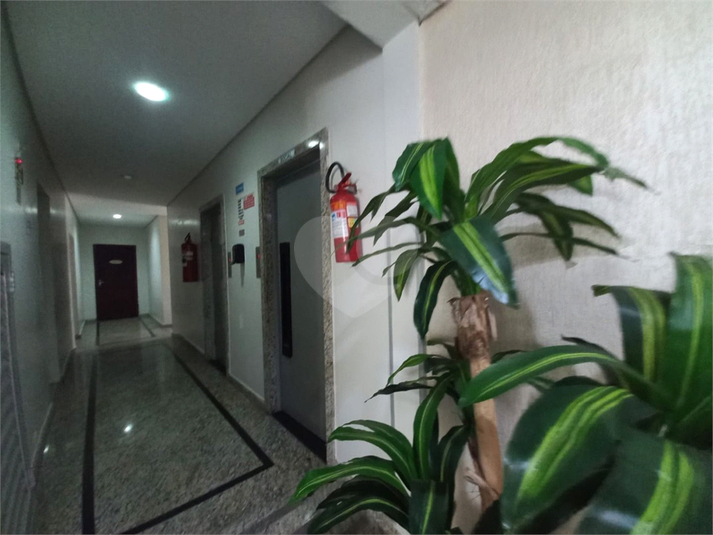Foto REO1131301