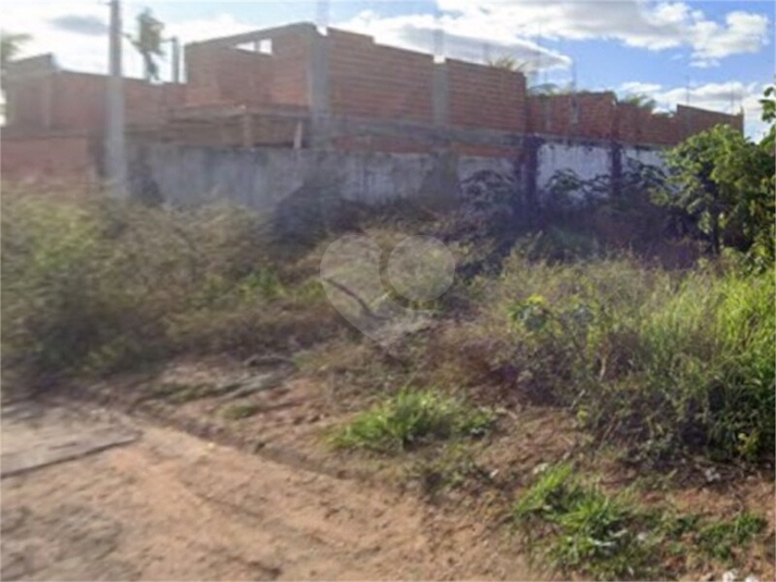 Foto REO1131302