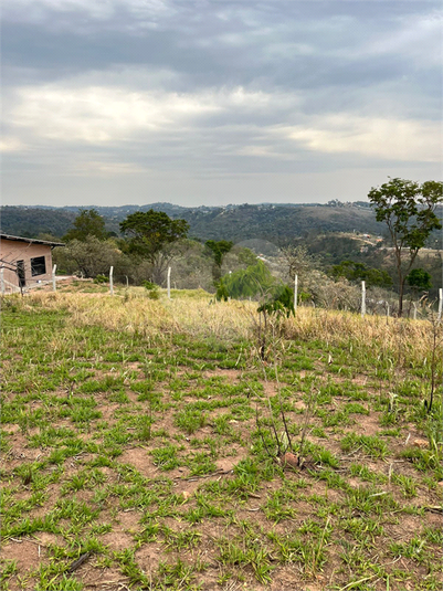 Foto REO1131320