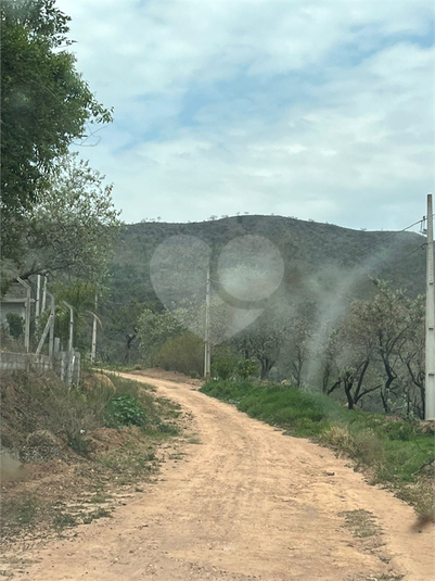 Foto REO1131320