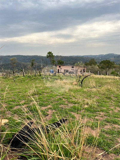 Foto REO1131320