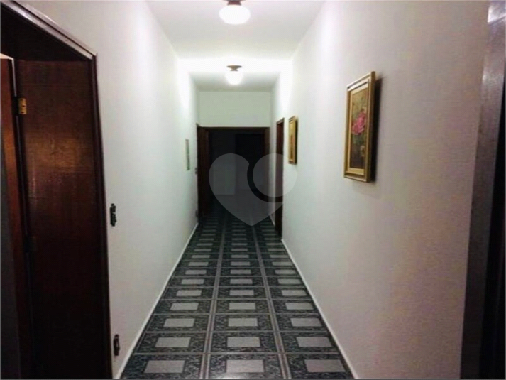 Foto REO1131328